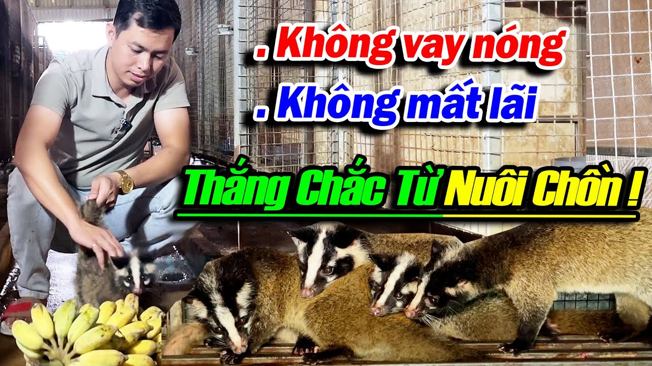 KHÔNG VAY NÓNG! KHÔNG MẤT LÃI! THẮNG CHẮC TỪ CHĂN NUÔI CHỒN MỐC | ĐI LÊN TỪ LÀNG