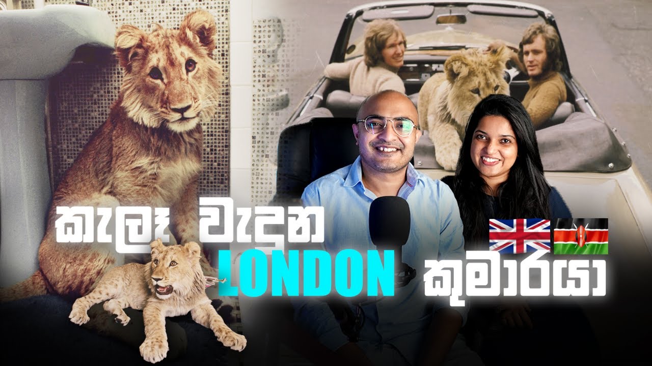 London පොෂ් කොල්ලෙක් Kenya ජීවිතය ජය ගත් හැටි | The lion who never forgot ❤️🦁