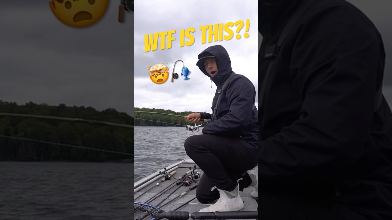 WTF Did I Just Hook?! 😳🎣 #fishing