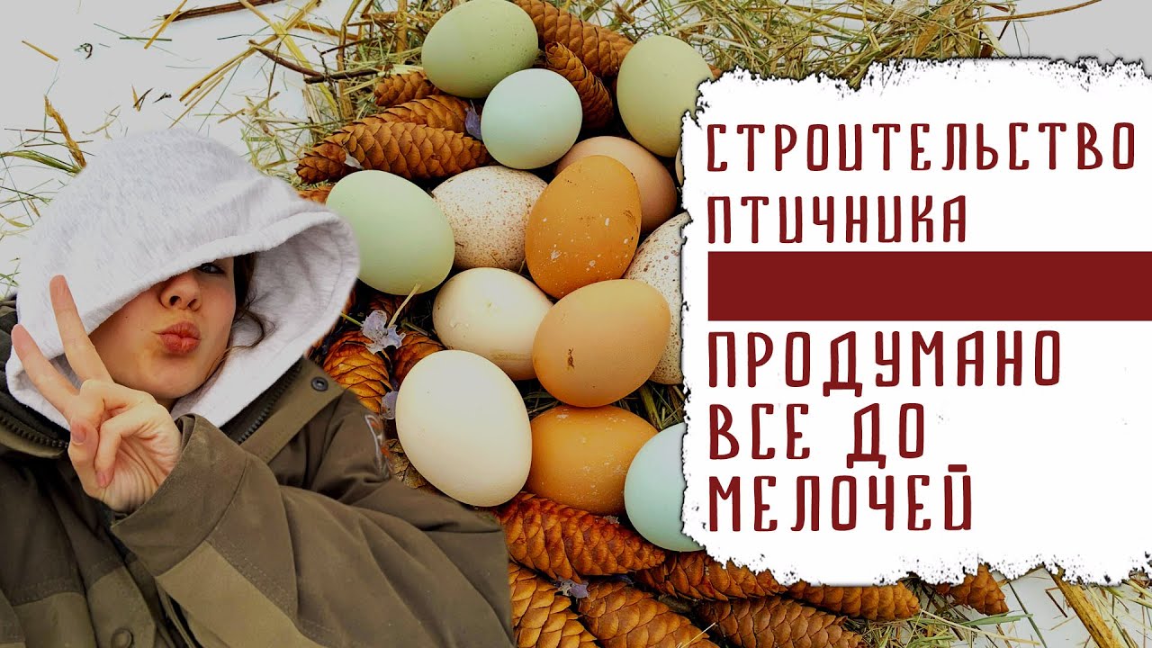 СТРОИТЕЛЬСТВО ПТИЧНИКА. ПРОДУМАНО ВСЕ ДО МЕЛОЧЕЙ