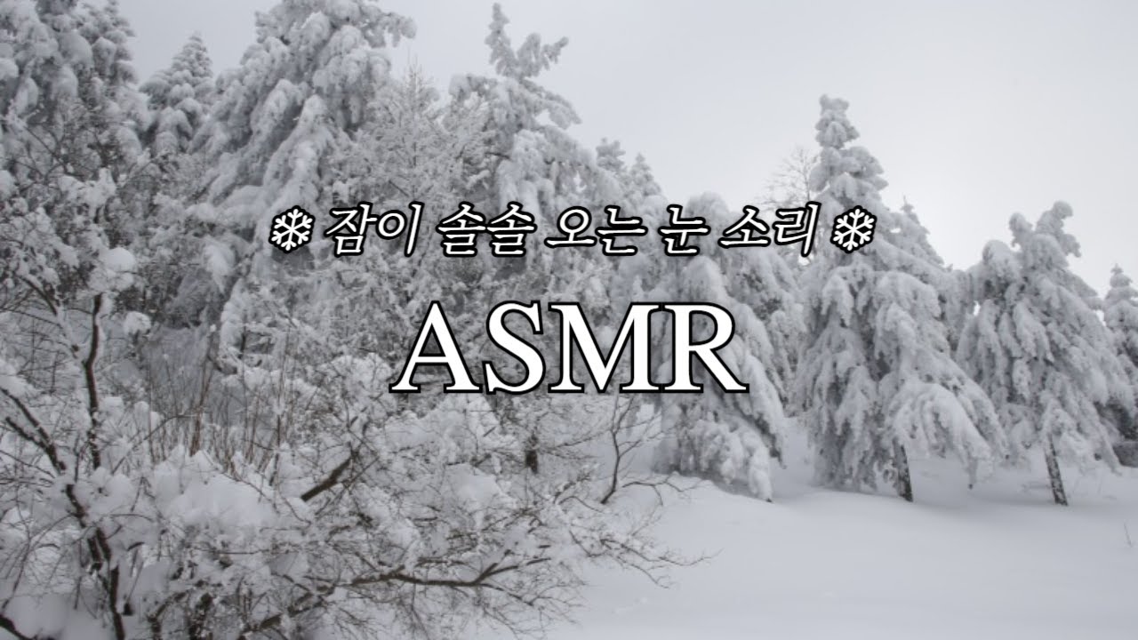 ASMR | 집중, 공부, 숙면용 눈보라 소리 (1시간)