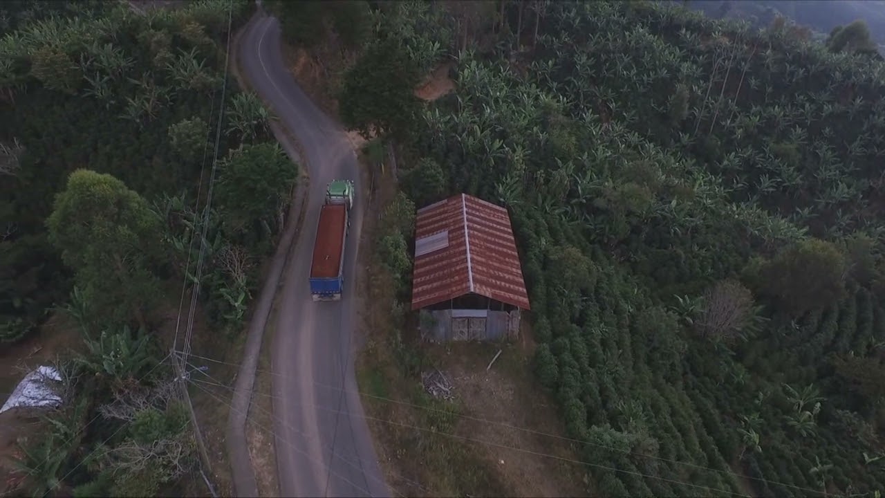 Caf&eacute; Tarraz&uacute; - Costa Rica