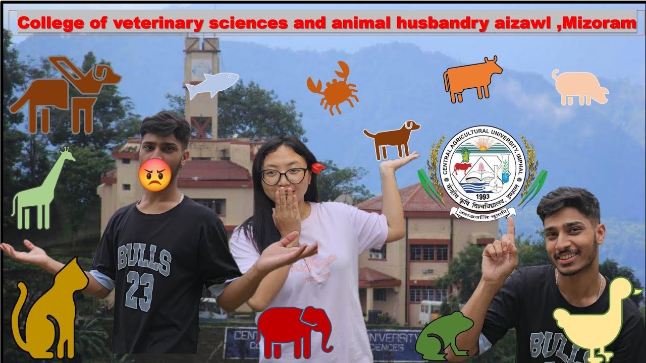 College of veterinary sciences and animal husbandry aizawl,mizoram(CAU)