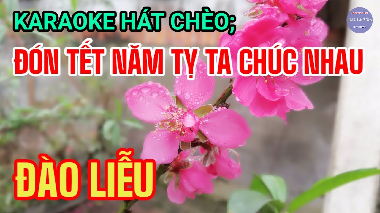 Karaoke Hát Chèo ; Đón Tết Năm Tỵ Ta Chúc Nhau _ SL : Anh Khoa Mạnh Hùng Quan Họ _ Điệu ; Đào Liễu