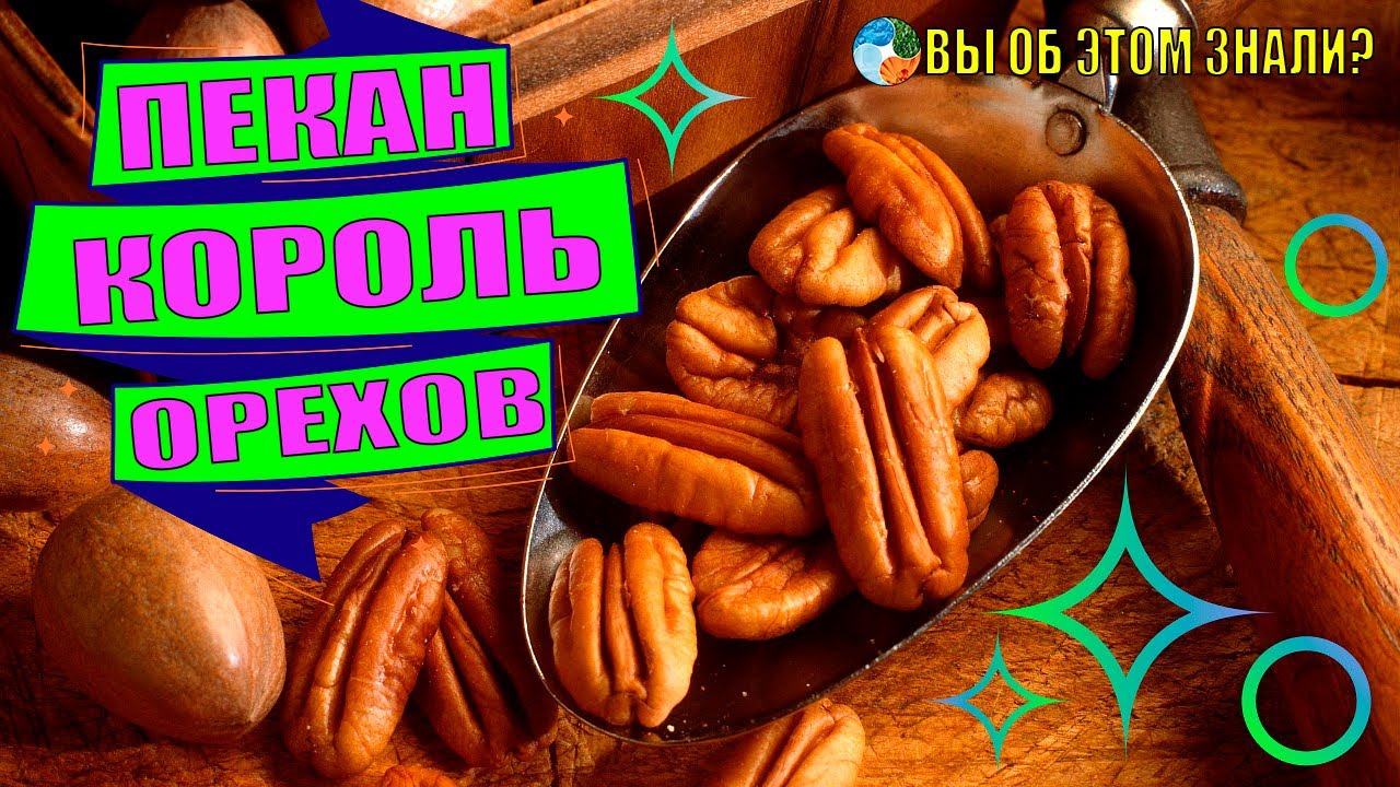 Пекан &mdash; король орехов