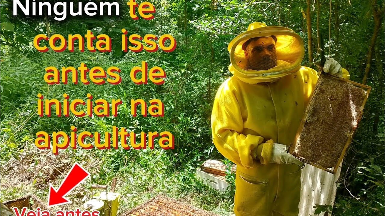 Abrindo a sua mente sobre a apicultura, veja até o final !!!