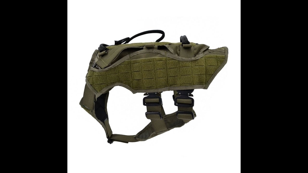 Ray Allen NOMAD K9 Harness Review