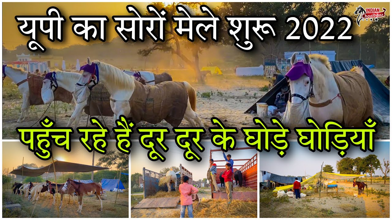 यूपी के बड़े मेलों में से एक सोरों मेला हुआ शुरू 2022 पहुँच रहे हैं दूर दूर के घोड़े घोड़ियाँ