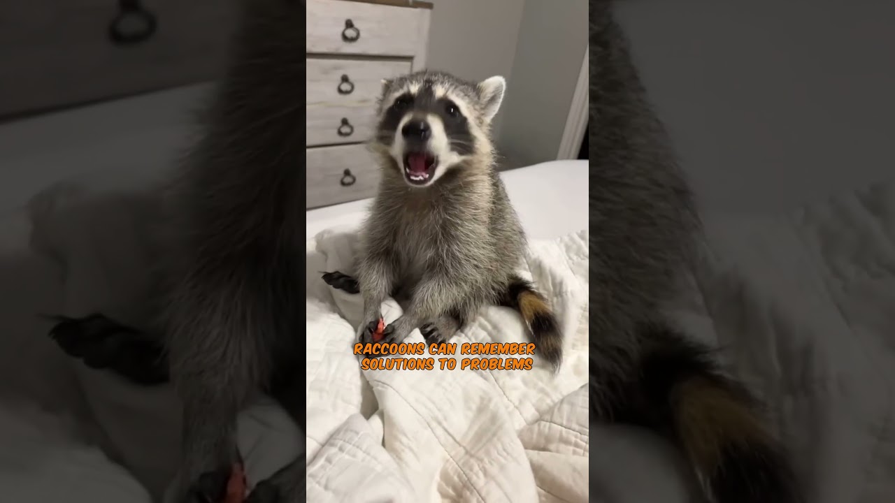 Secret Animal Facts You&rsquo;ve Never Heard Before 2 #facts #animals #animalfacts