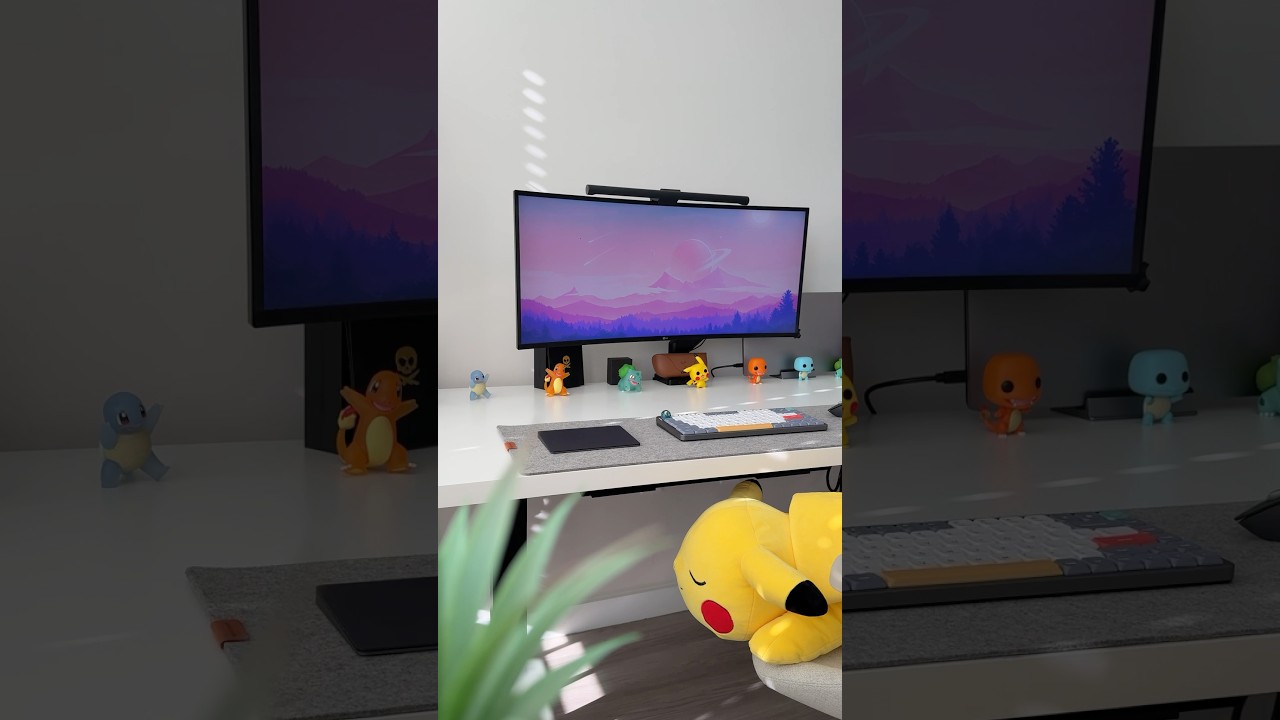 | Desk Setup | 