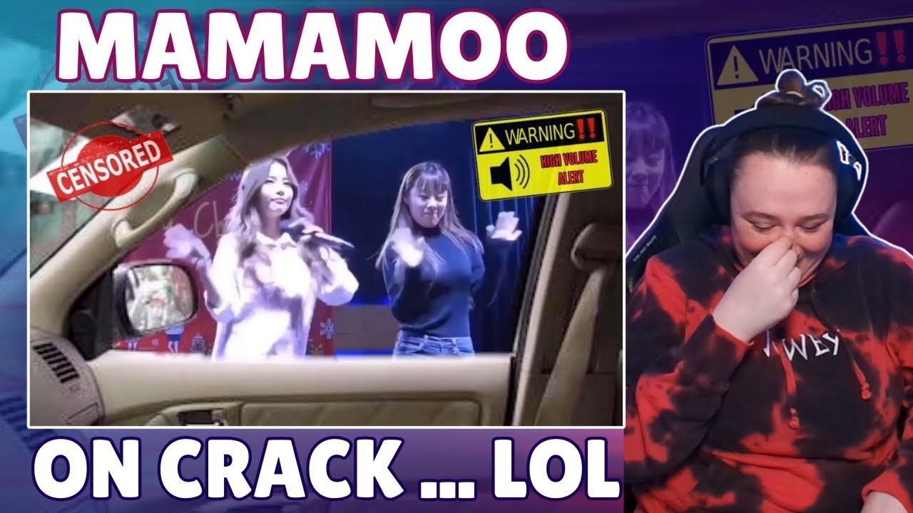 MAMAMOO Monday - On Crack and Random Funny Moments