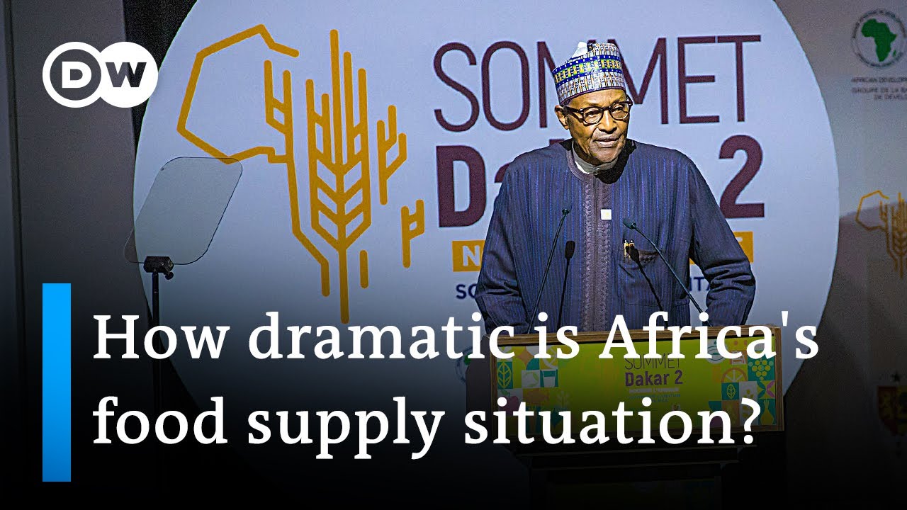 War, inflation, pandemic and climate change threaten African nations’ food security | DW News