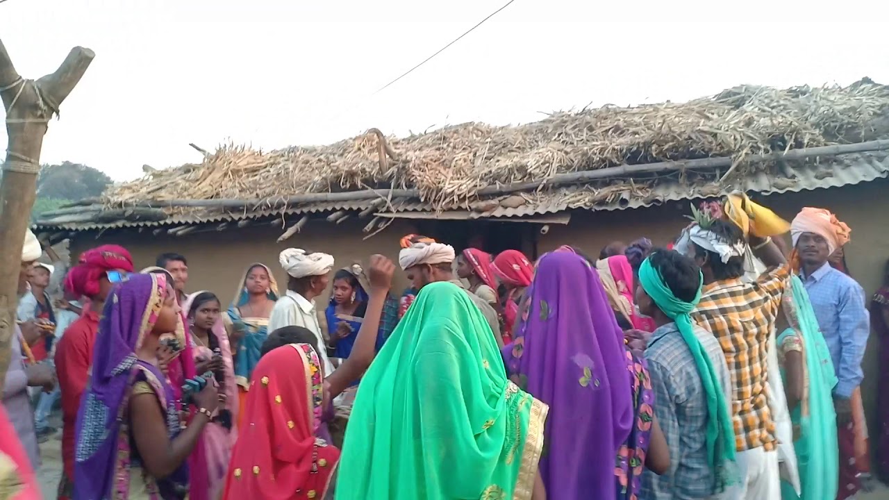 Dhavti gaduli susun