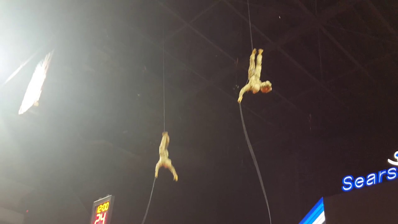 Pravi Zivot u Americi  (Americki vojnici na utakmici)