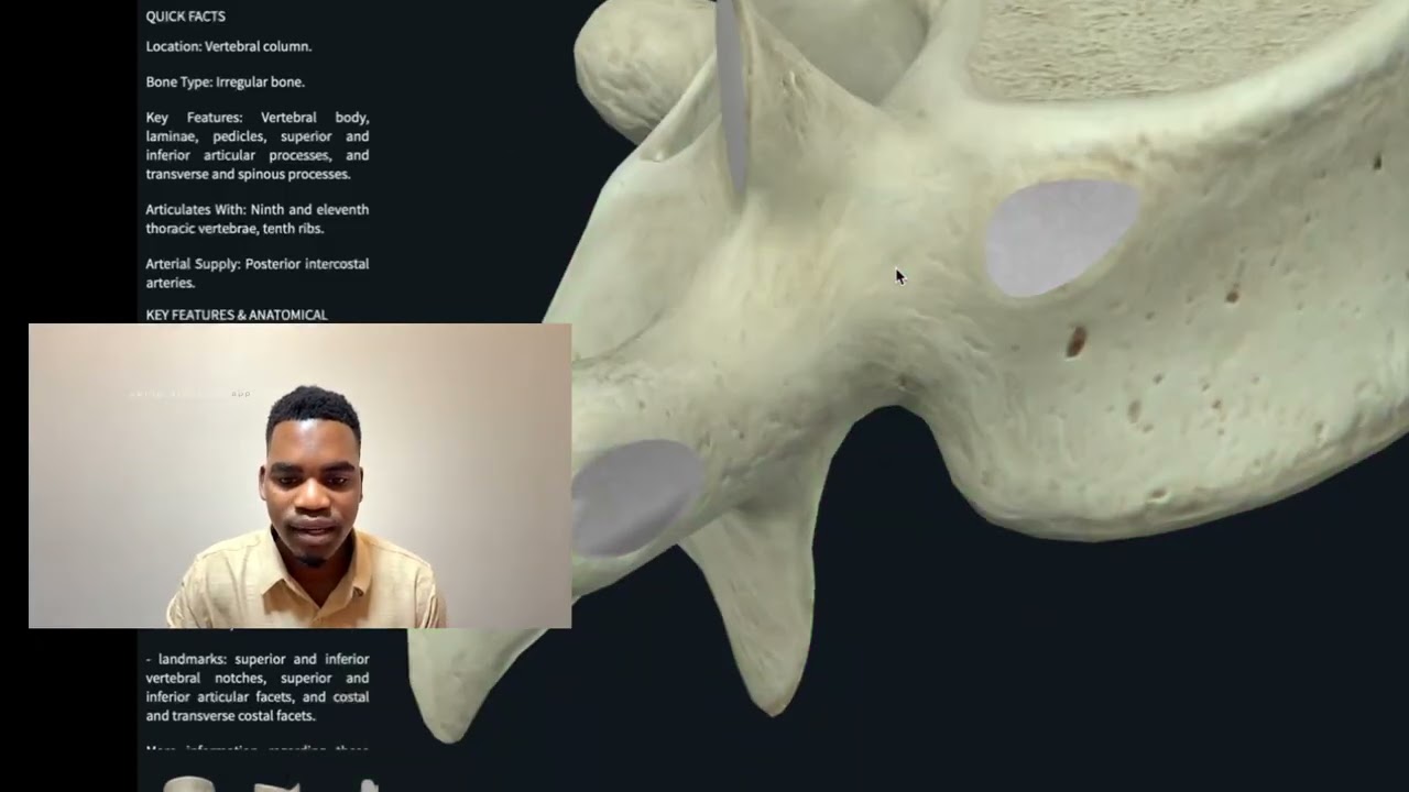 Quick recap (zima moto 🧯🔥) on Atypical thoracic vertebrae