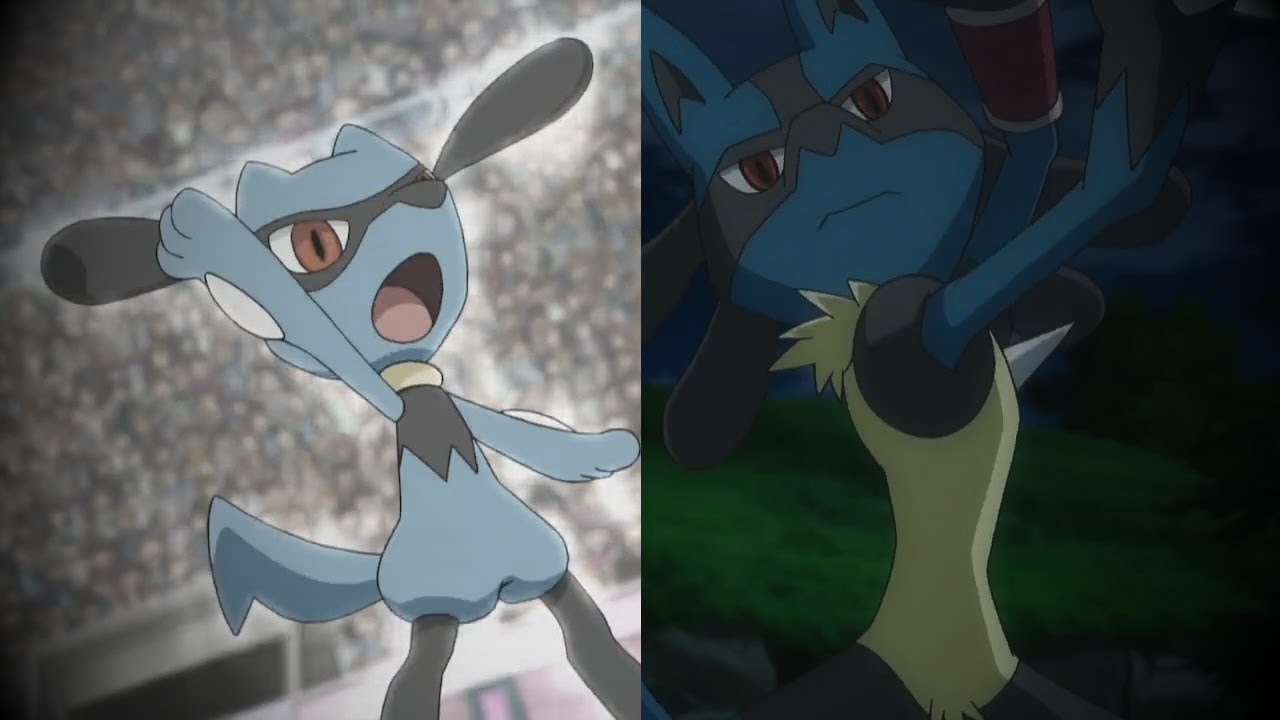 Riolu & Lucario AMV - Animals (request)