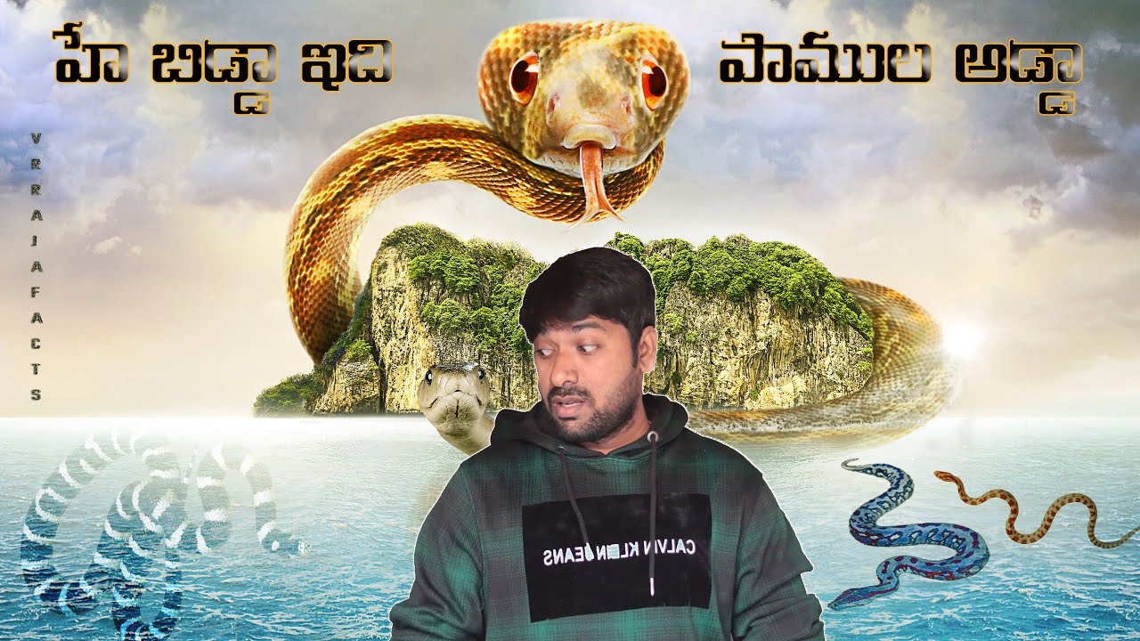 SNAKE ISLAND నుంచీ తప్పించుకోవడం ఎలా  | V R RAJA | V R FACTS |SNAKE ISLAND ESCAPE | TAMADA MEDIA