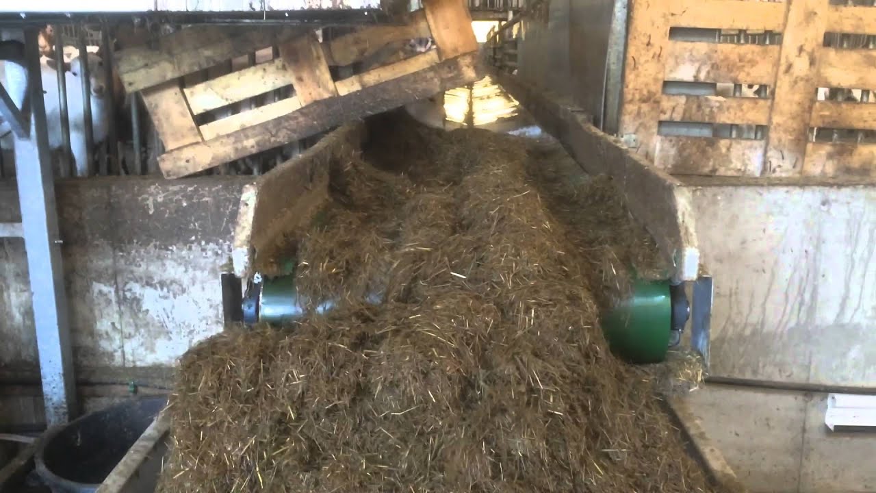 Automatic feeding system.