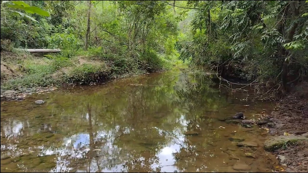 R$365.000 - CHÁCARA EM CONGONHINHAS PR