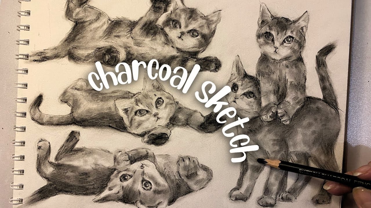 Drawing Kittens with Charcoal Pencils | Cute Cat Sketches in Different Poses | no music, no talking