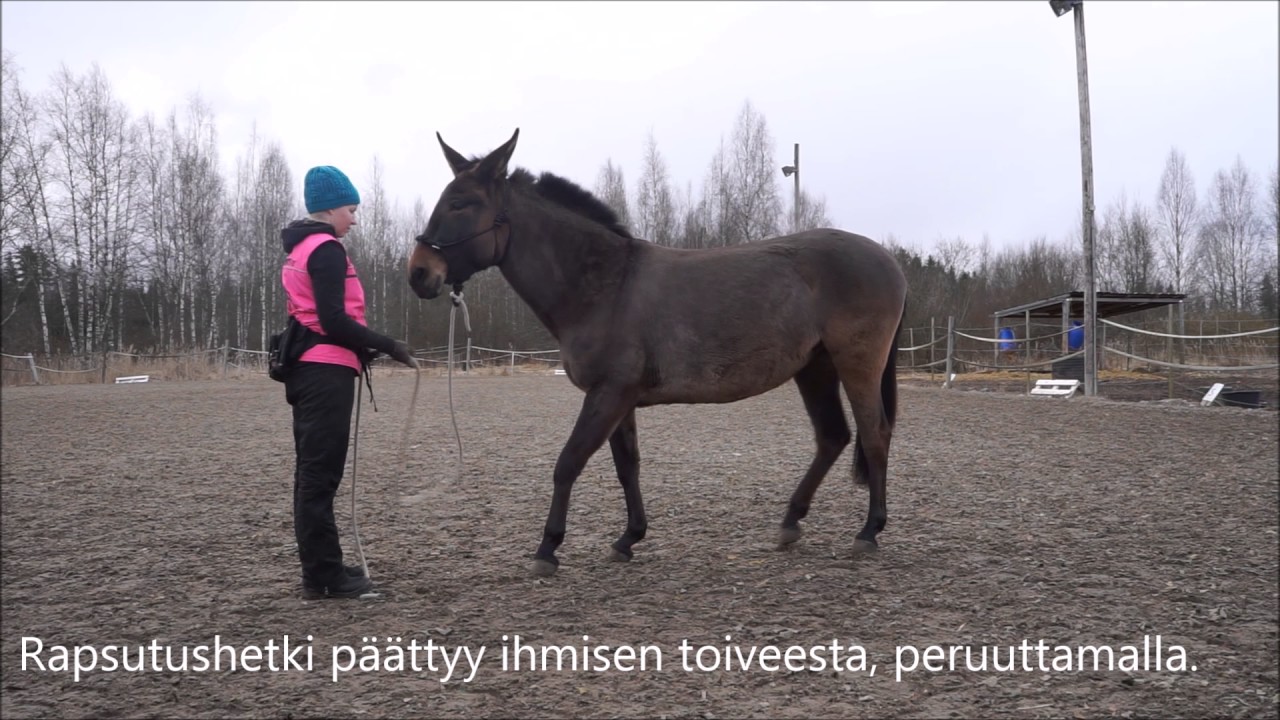 Maastakäsittelyä; peruutus, seuraaminen 16.4.2017