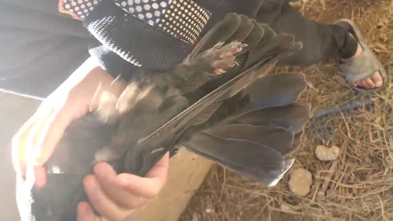 ٤ يناير ٢٠٢٦