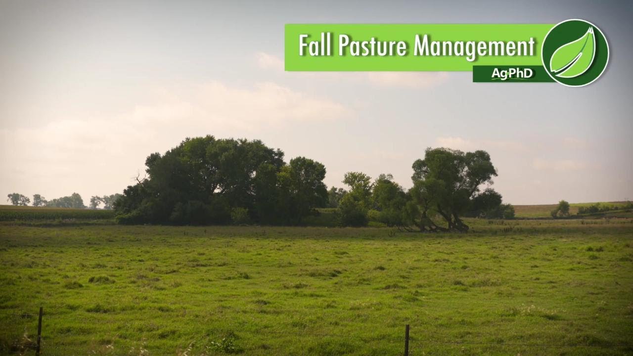 Fall Pasture Management #1012 (Air Date 8-27-17)