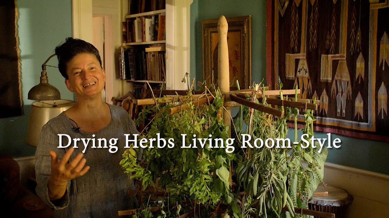 ​​Drying Herbs Living Room-Style: Have you tapped the herbal bounty? Quick drying tips.