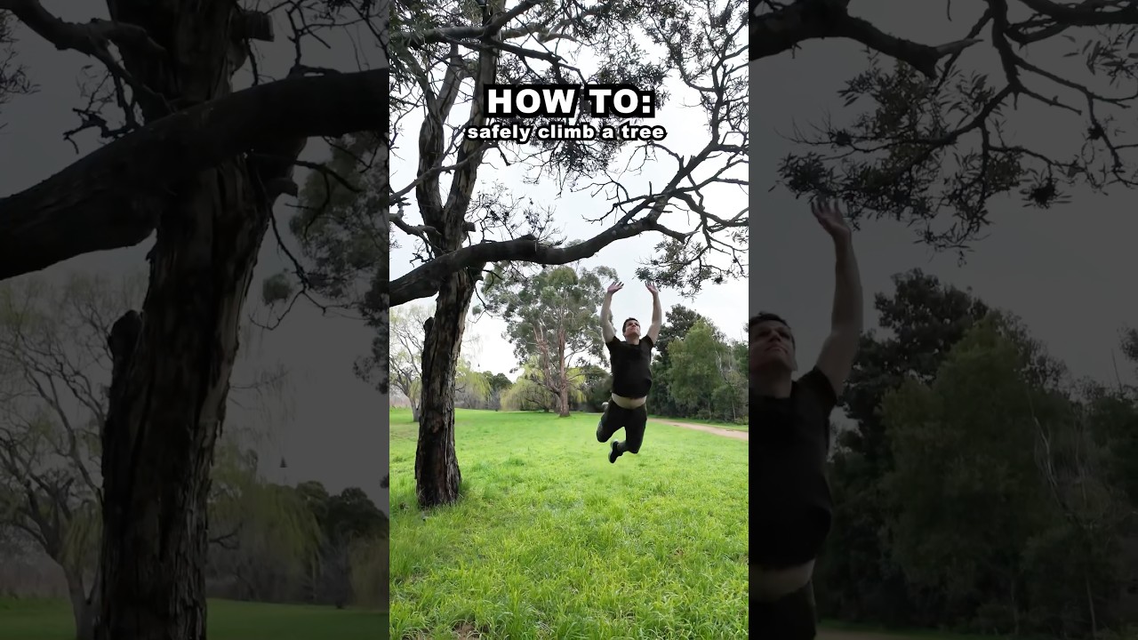 HOW TO: Safely climb a tree
