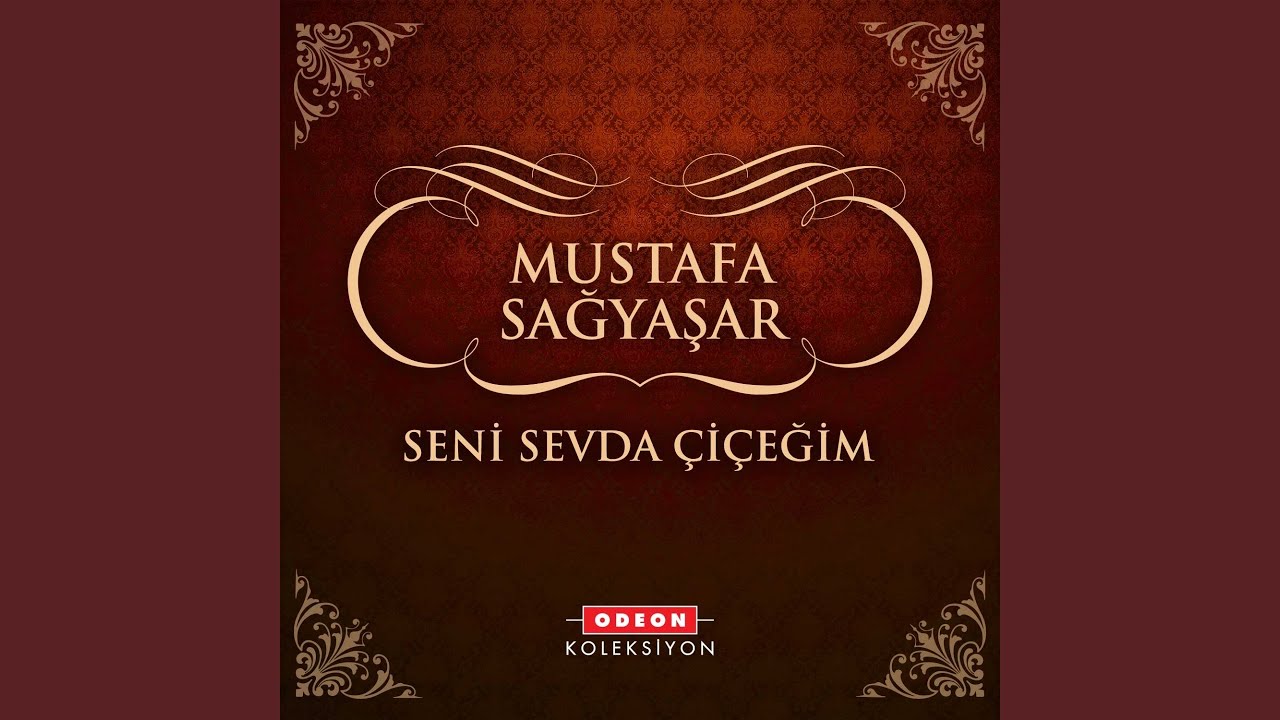Nereden Sevdim O Zalim Kadını