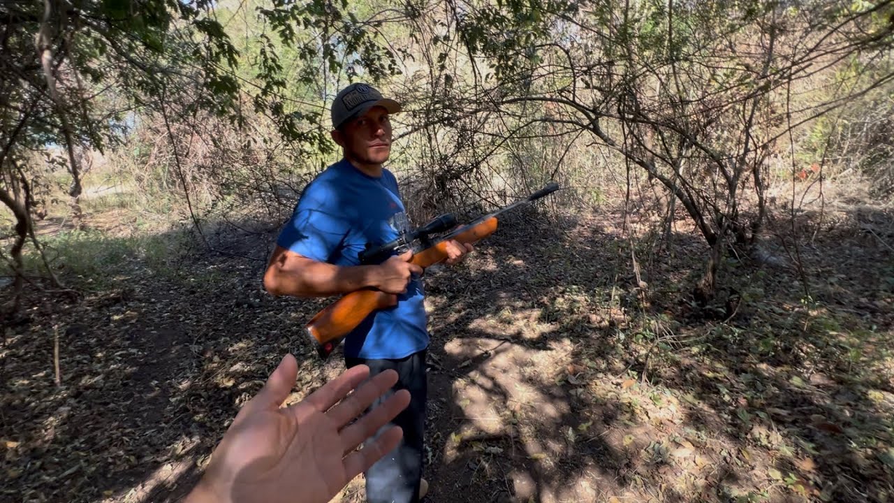Buscando un coludo ,,y se nos fueron la azulonas 