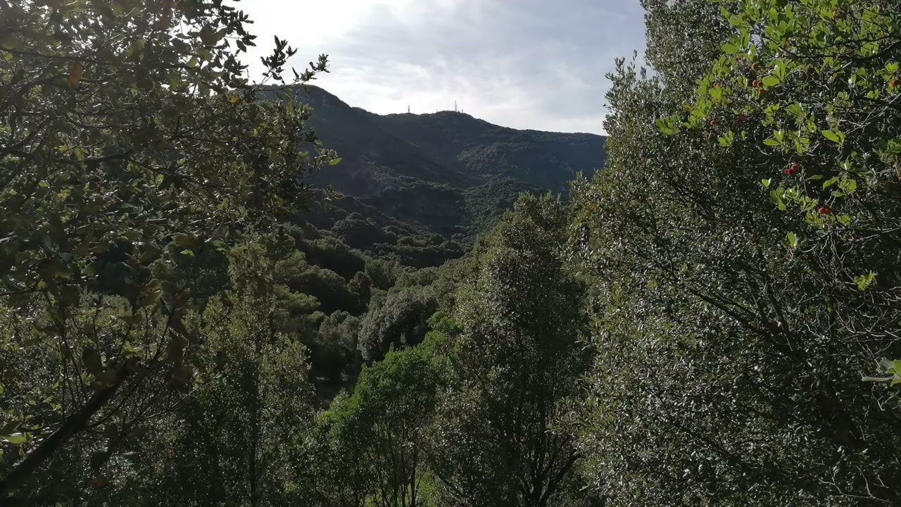 Qualunque cosa accada