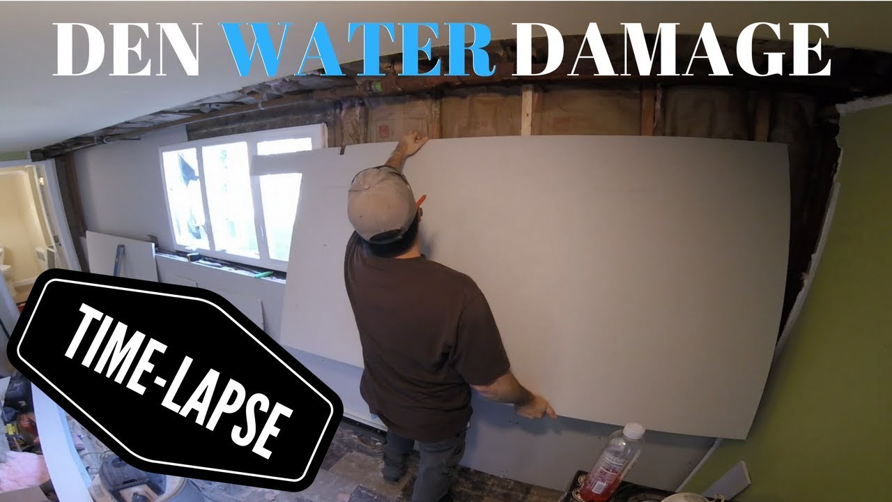 Repairing A Den Due To Water Damage (Time-Lapse)