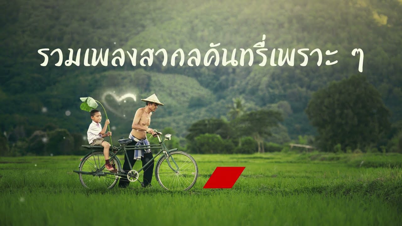 Relaxing Country Songs 2025 - รวมเพลงคันทรี่ฟังสบาย เพลงสากลเพราะ ๆ ฟังเพลินตอนทำงาน/ขับรถ