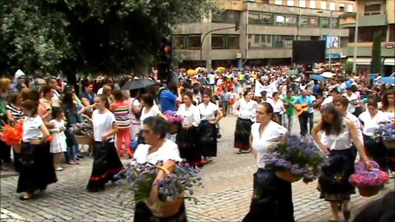 Regilde Felgueiras S.Pedro  Festa das Flores 2012 (www.regilde.blogspot.com)HD .wmv