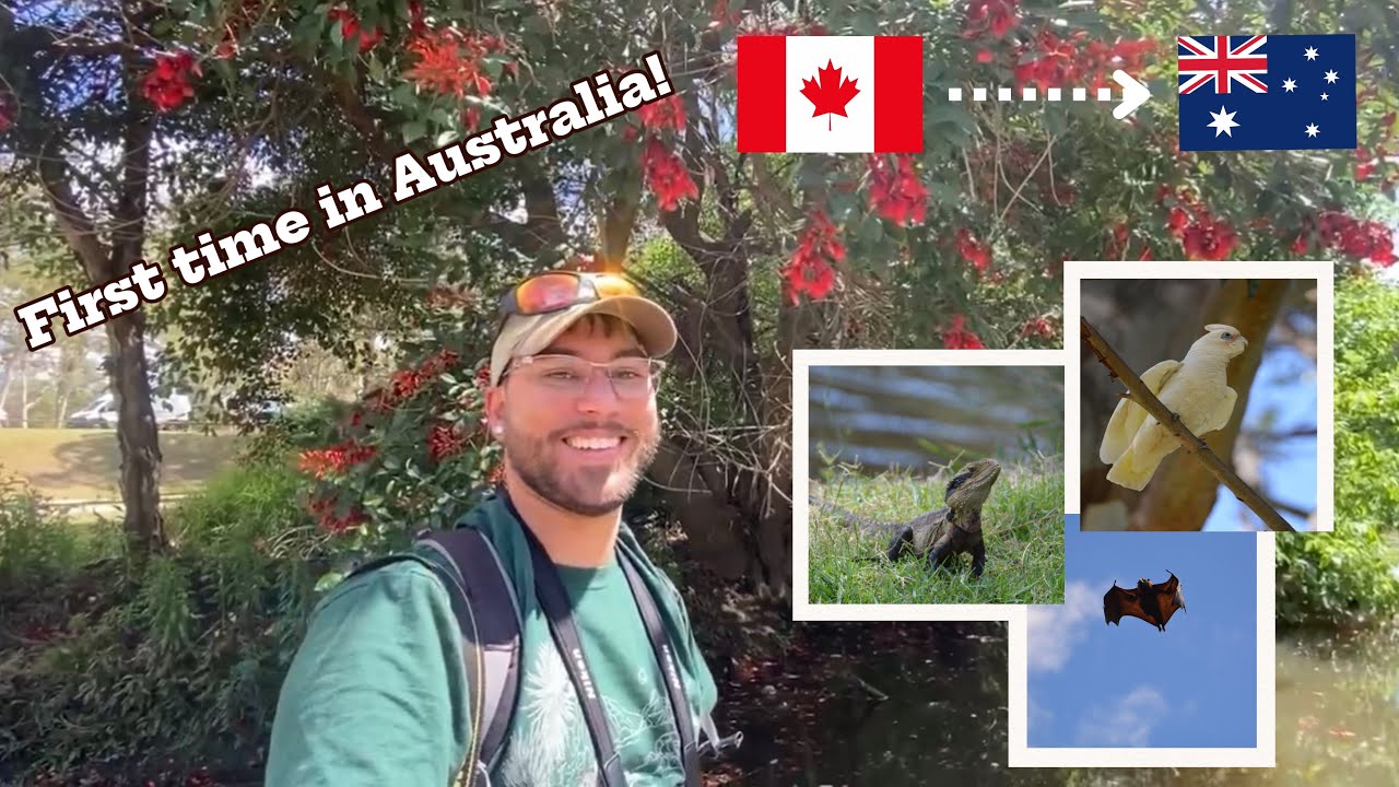 Nature walk in Sydney | First time in Australia