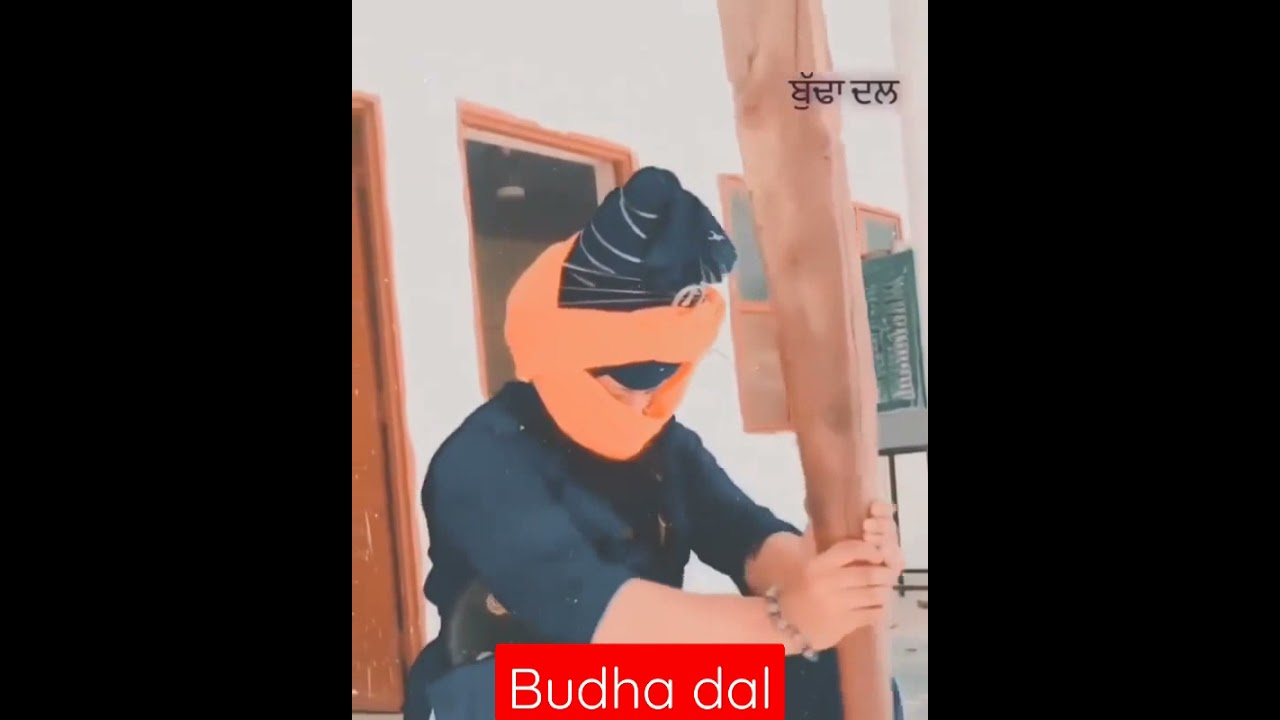 JHATKA 🍷 #BUDHADAL#AKAAL#NIHANG#PUNJAB
