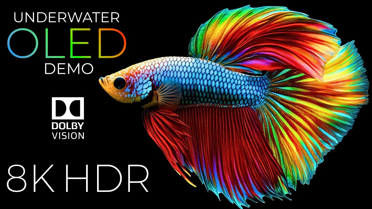 Underwater Wonders OLED Demo HDR 8K Ultra HD Dolby Vision&trade; 60fps