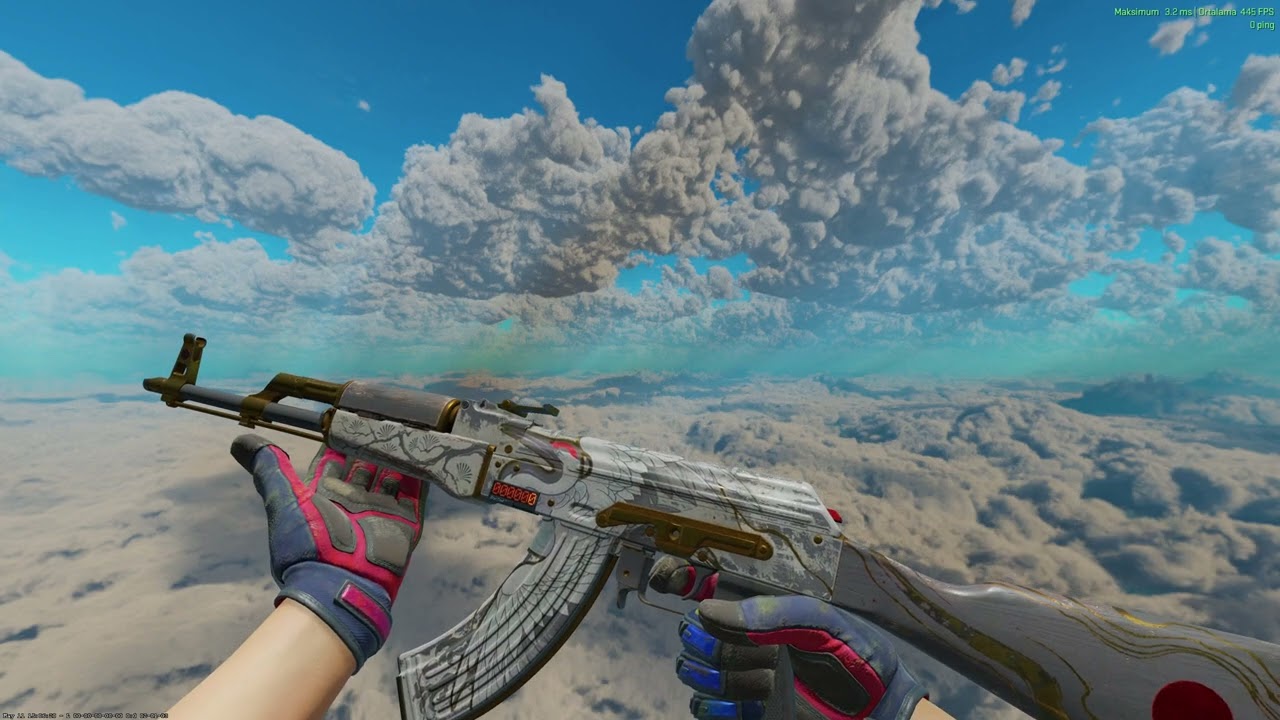 CS2 Stattrak AK 47 Crane Flight (BS)  [2K QHD]