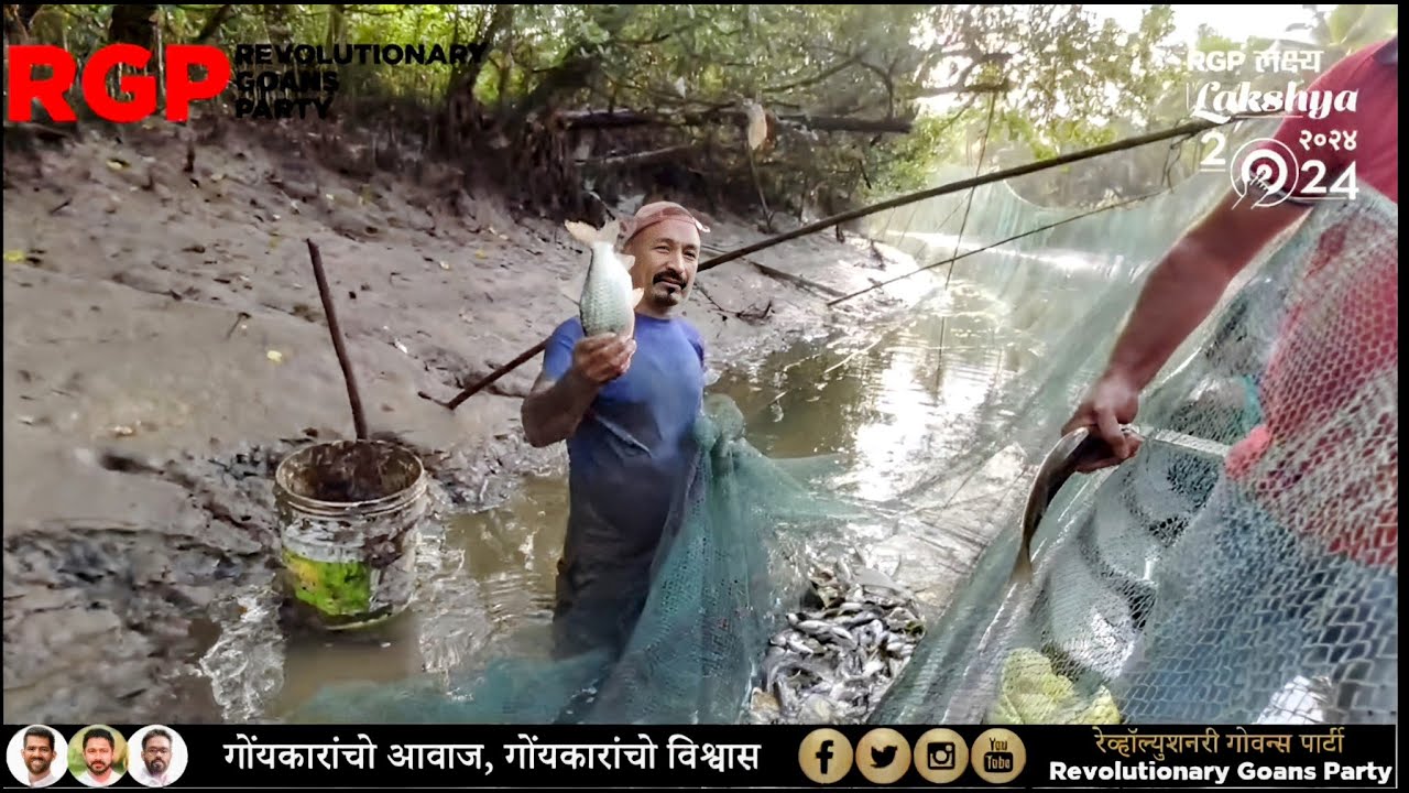 Goa's Traditional Futtan Fishing 🐟🌊 with 