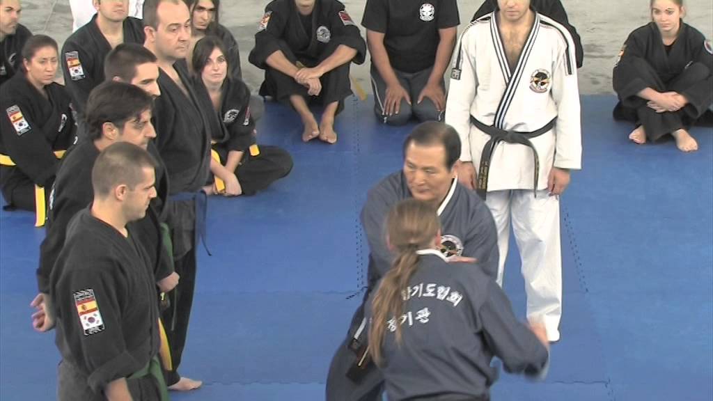 1st JUNG KI HAPKIDO SPAIN SEMMINAR (GM LIM HYUN SOO)