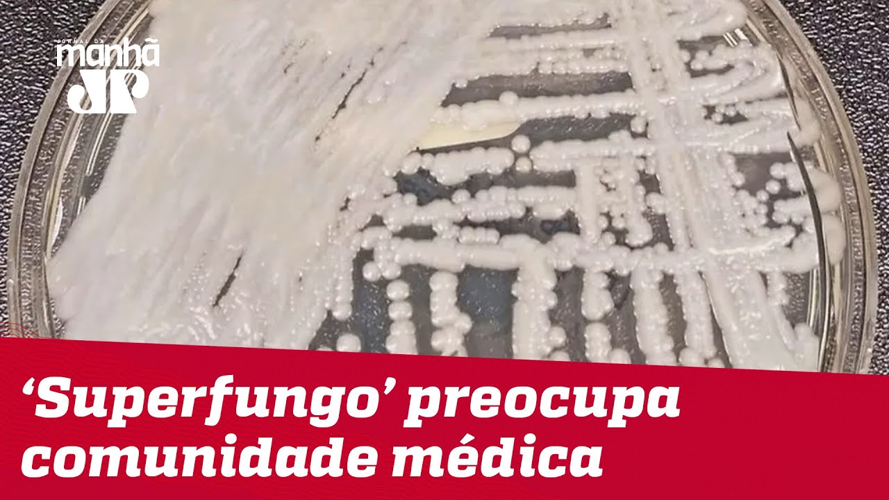 &lsquo;Superfungo&rsquo; preocupa comunidade m&eacute;dica ao redor do mundo