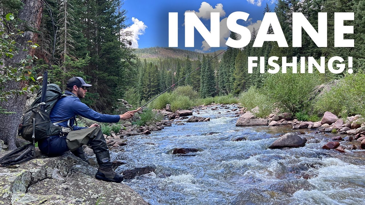 I Found the REAL Dream Stream! (Tenkara Fly Fishing)