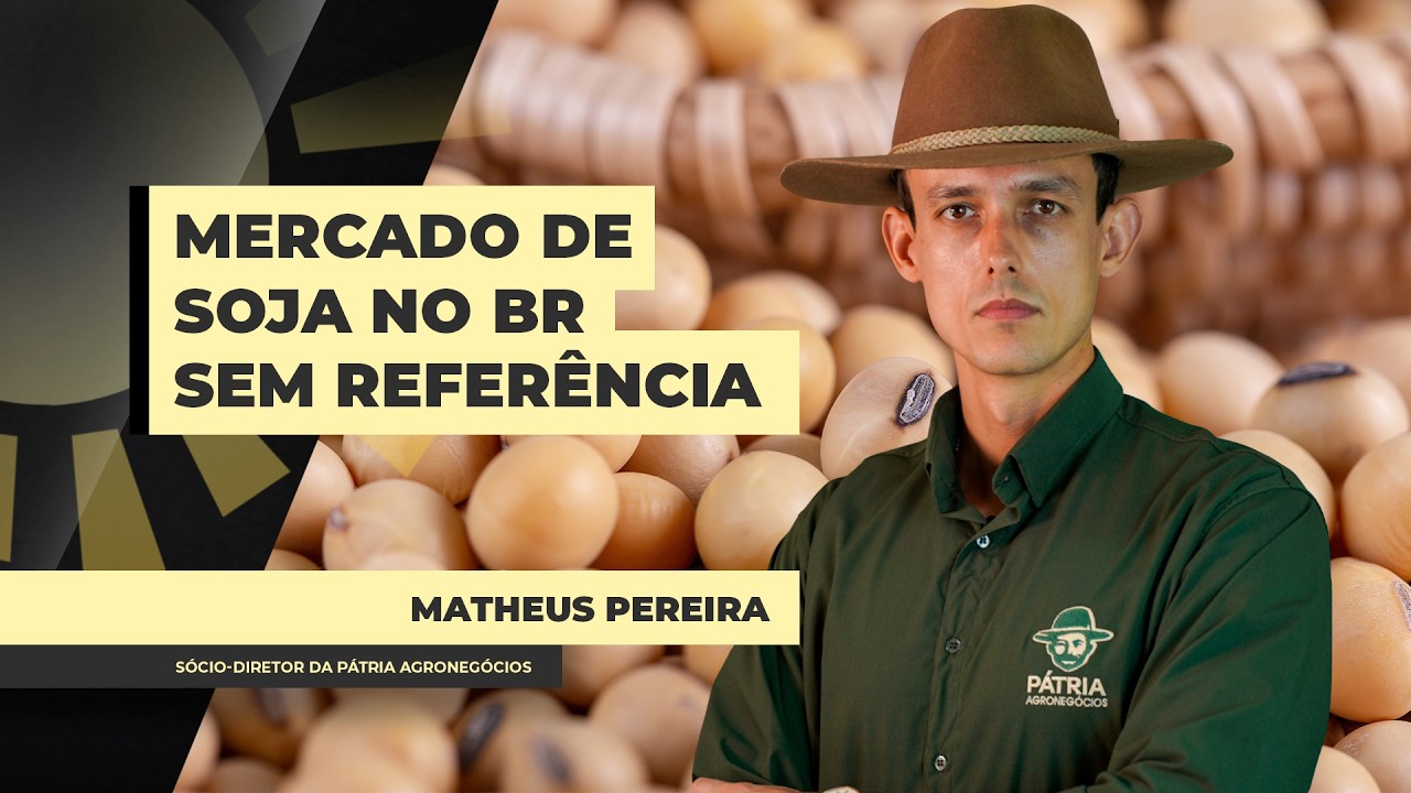 Mercado brasileiro de soja está sem referência de preços no BR com suspensão das exportações....