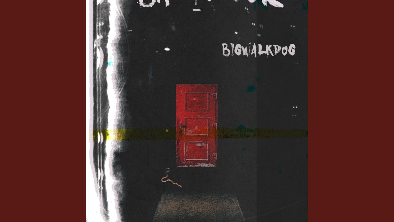 BackDoor