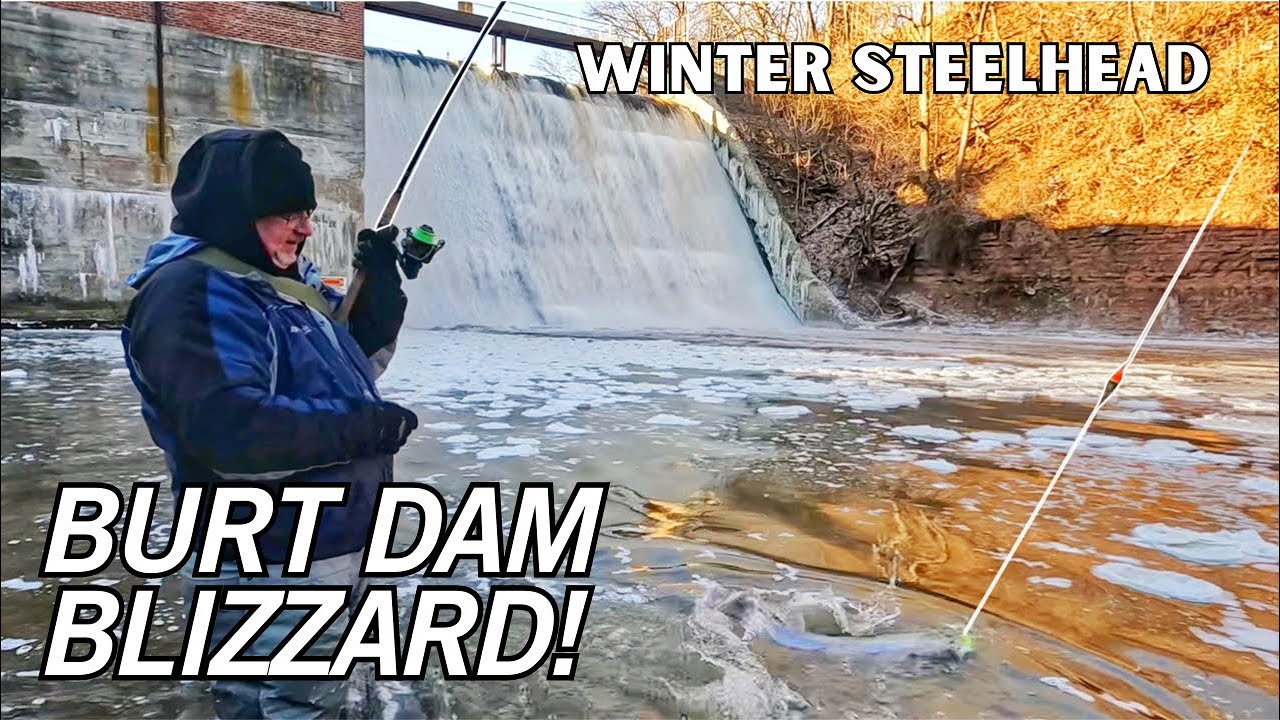 Burt Dam Blizzard Steelhead!