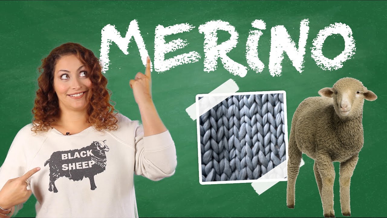 What is Merino Wool? 🐑 - Yarn University #1