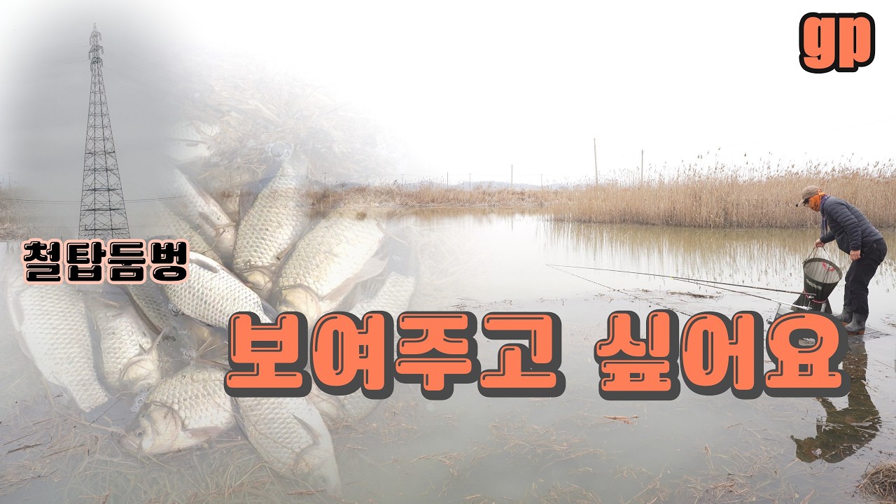 붕어는 날 보고있다/빗속의 월 퍼레이드/나온다 많이