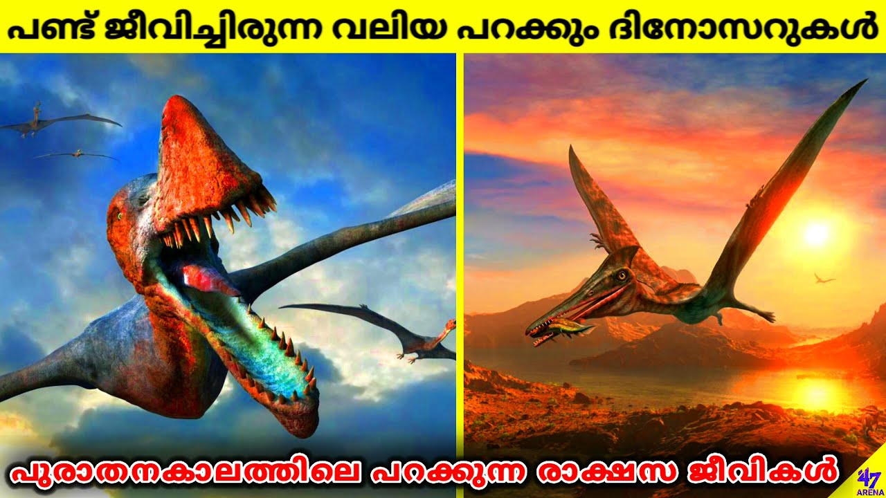 Terrifying Flying Dinosaurs | Pterosaurs | Prehistoric Animals | Facts Malayalam | 47 ARENA