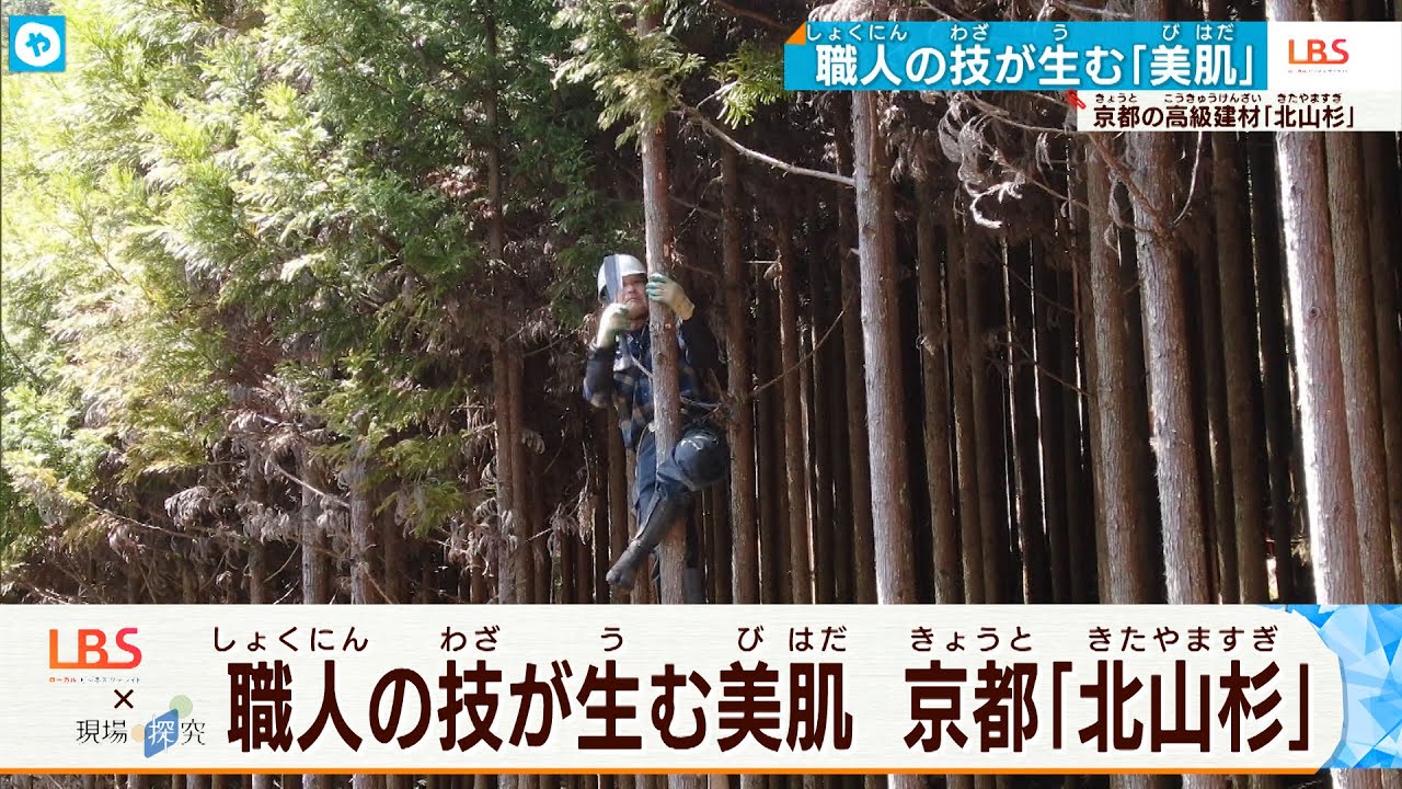 【京都】千利休も愛した「北山杉」の美しい木肌を生む職人技に迫る